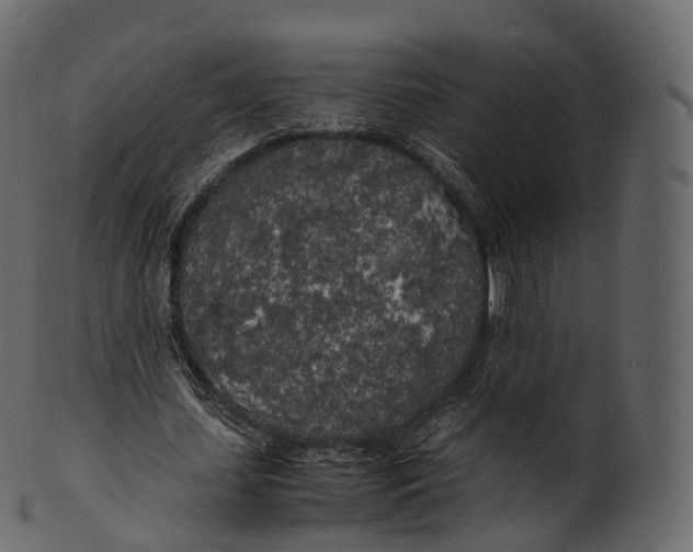 X0000100490627200807031917