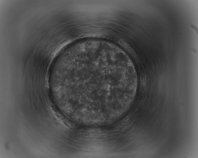 X0000100490628200807031917