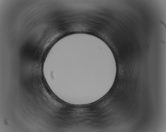 X0000100490629200807031917