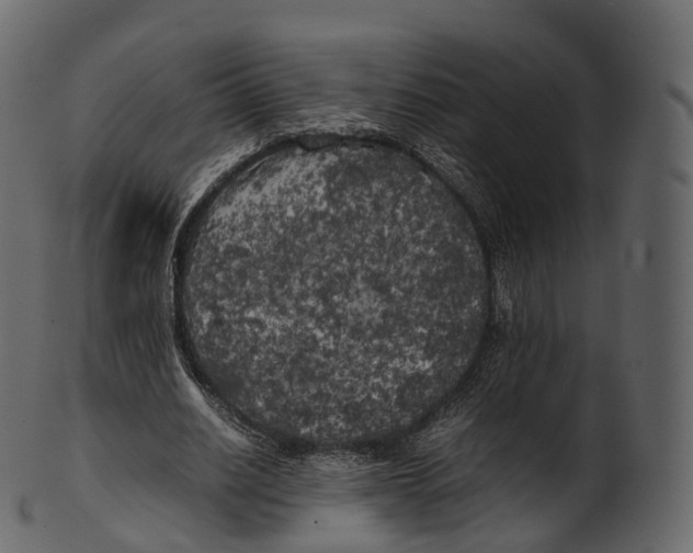 X0000100490630200807031917