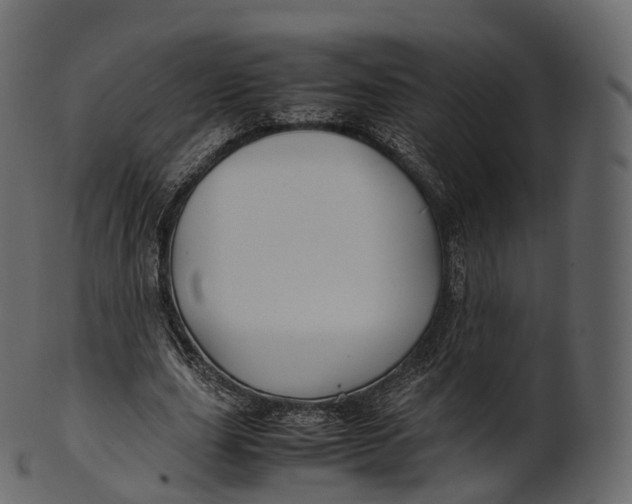 X0000100490631200807031917