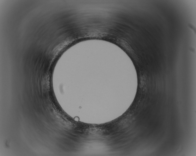 X0000100490632200807031917