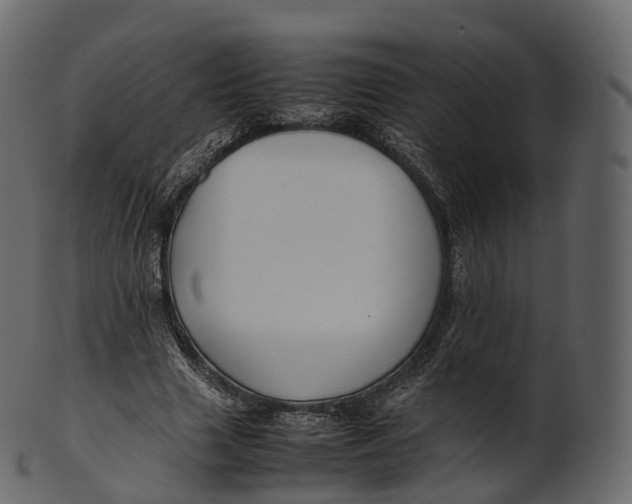 X0000100490633200807031917