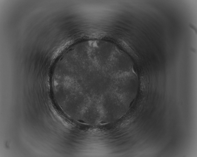 X0000100490634200807031917