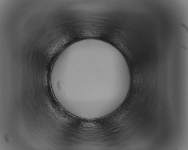 X0000100490635200807031917