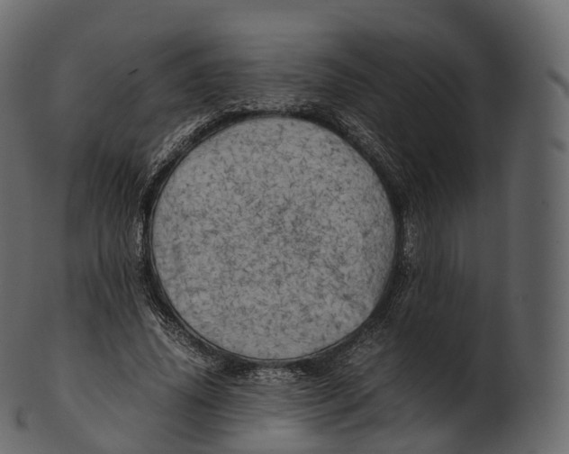 X0000100490636200807031917