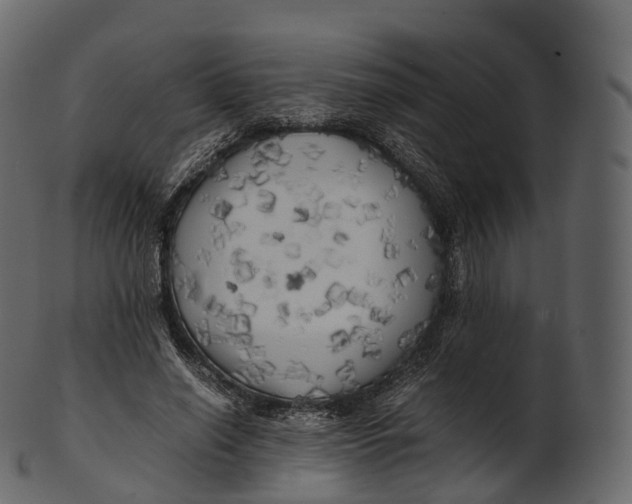 X0000100490638200807031917