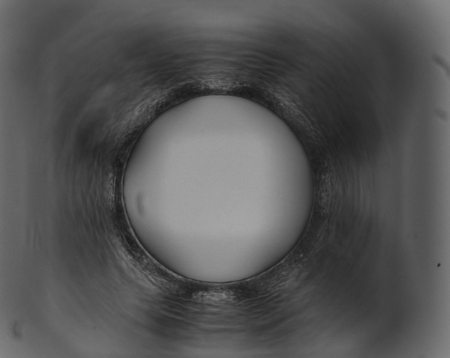 X0000100490639200807031917