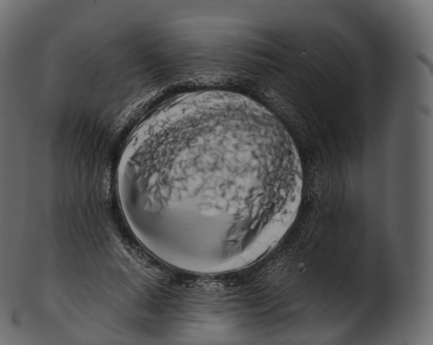 X0000100490640200807031917