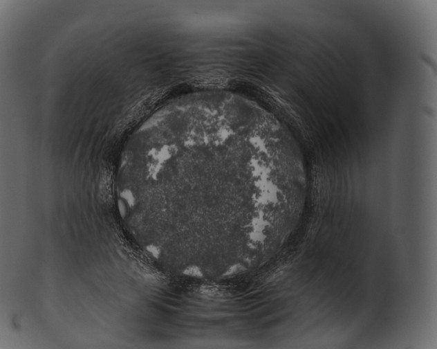 X0000100490641200807031917