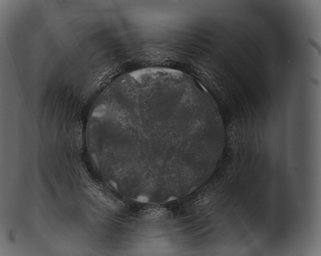 X0000100490642200807031917