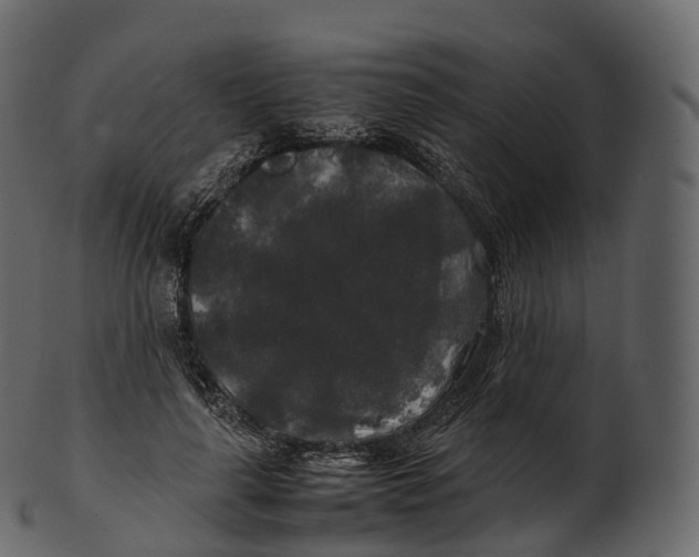 X0000100490643200807031917