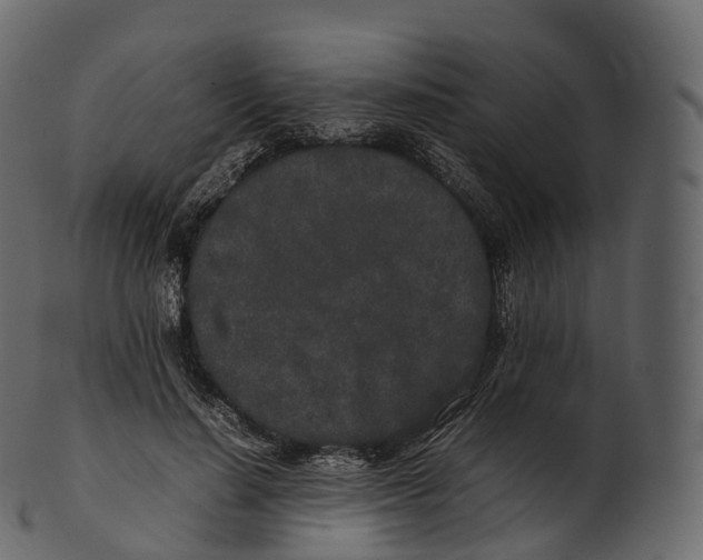 X0000100490644200807031917