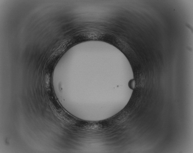 X0000100490646200807031917