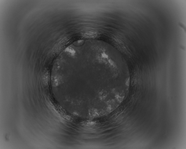 X0000100490647200807031917