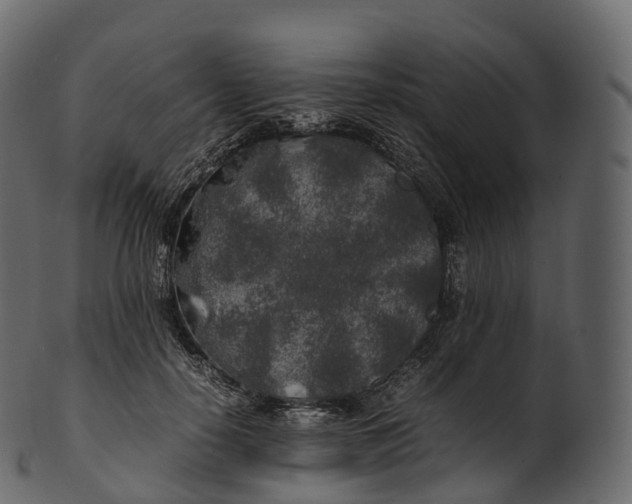 X0000100490650200807031917