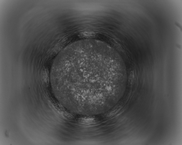 X0000100490651200807031917