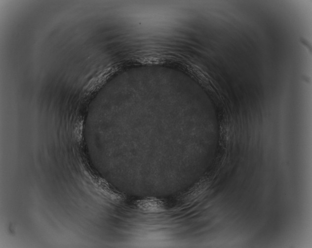 X0000100490652200807031917