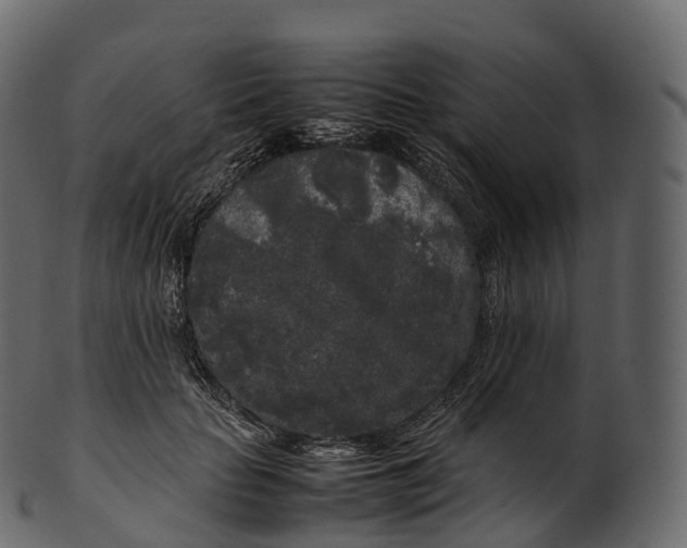 X0000100490653200807031917