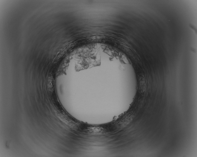 X0000100490654200807031917