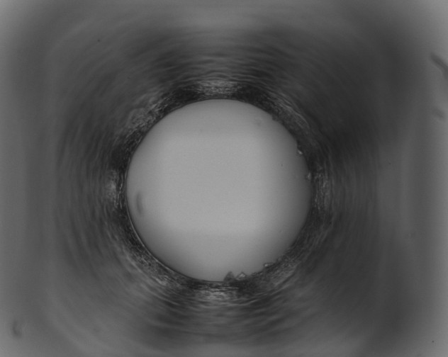 X0000100490655200807031917