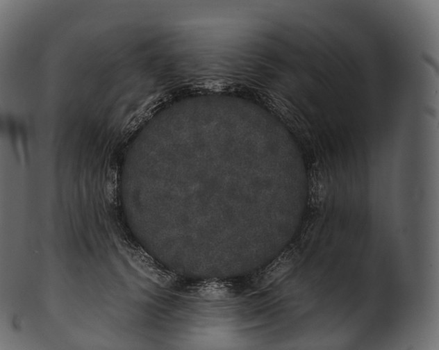 X0000100490656200807031917