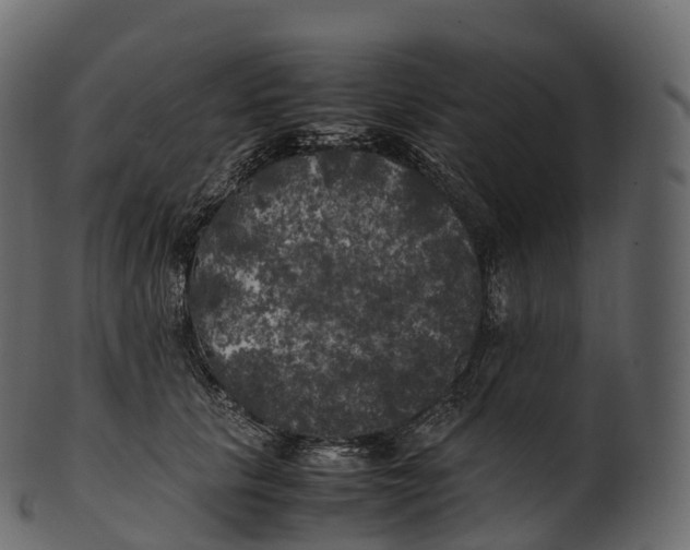 X0000100490657200807031917