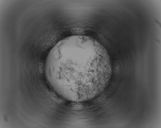 X0000100490658200807031917