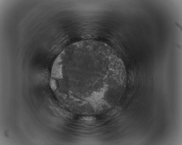 X0000100490659200807031917