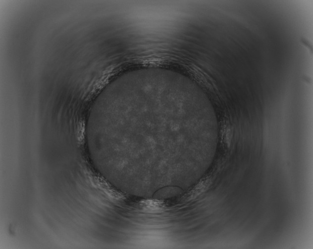 X0000100490660200807031917