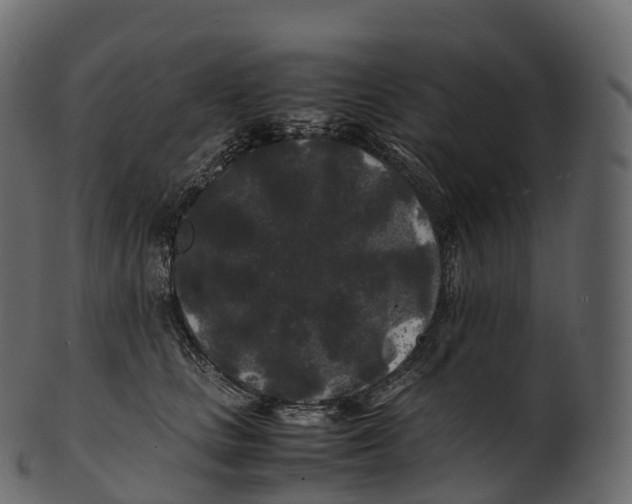 X0000100490661200807031917