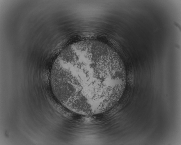 X0000100490662200807031917