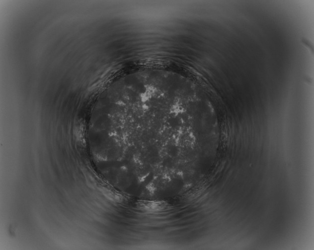 X0000100490663200807031917