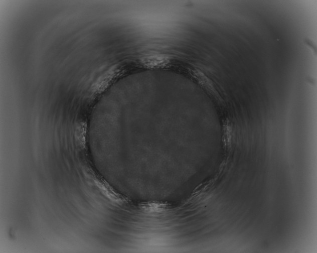 X0000100490664200807031917