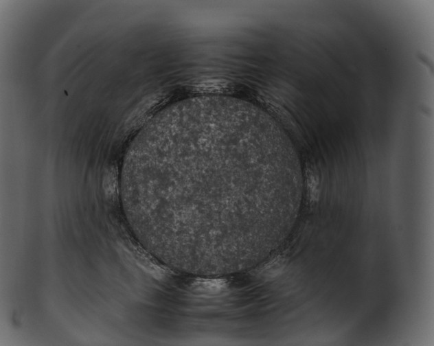 X0000100490665200807031917