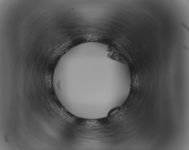 X0000100490666200807031917