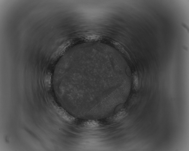 X0000100490668200807031917