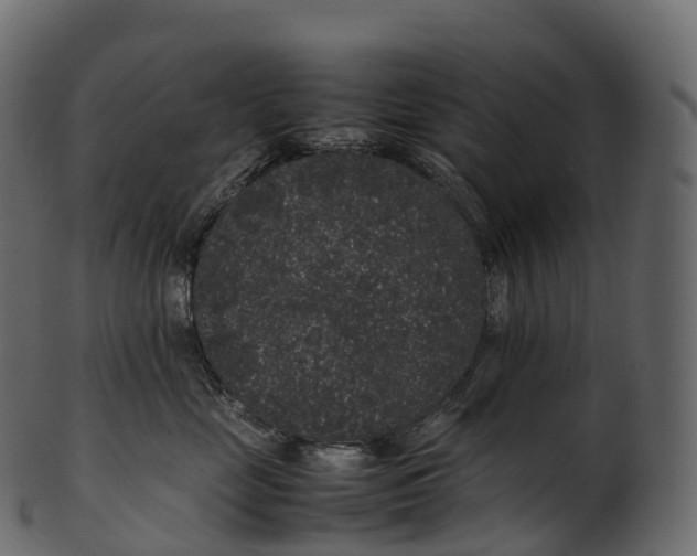 X0000100490669200807031917