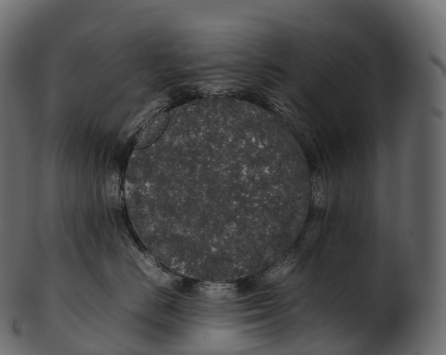 X0000100490670200807031917