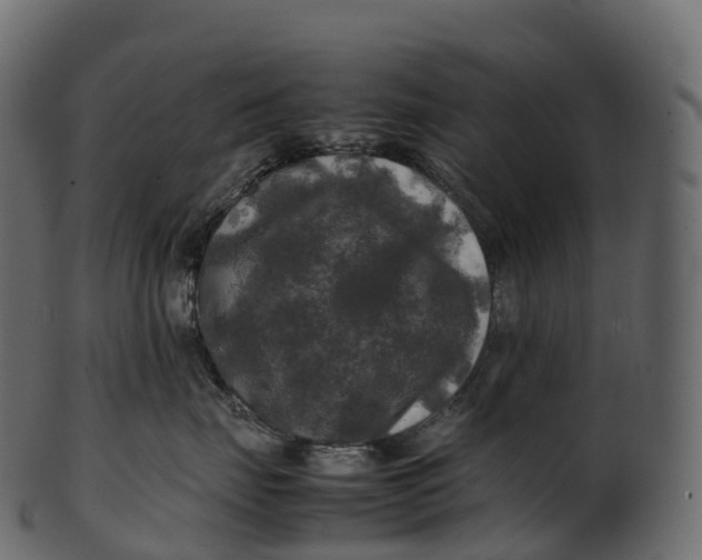 X0000100490671200807031917