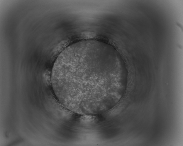 X0000100490672200807031917