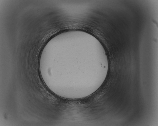 X0000100490673200807031917