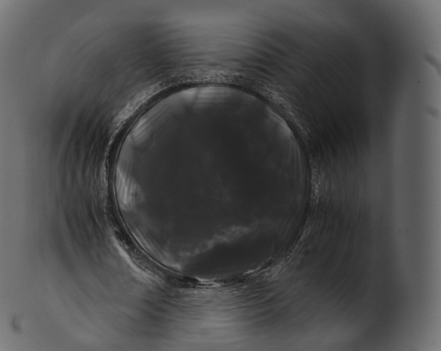 X0000100490674200807031917