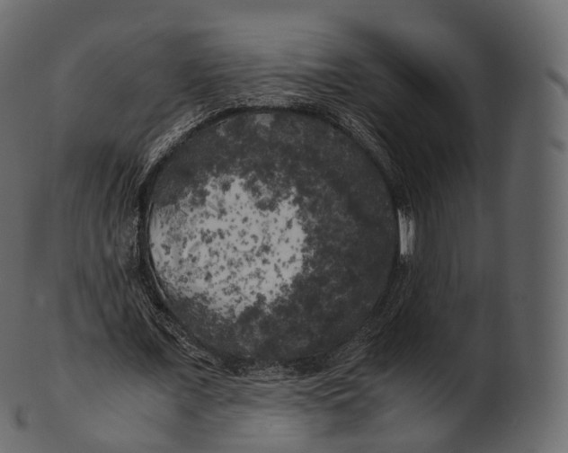 X0000100490675200807031917