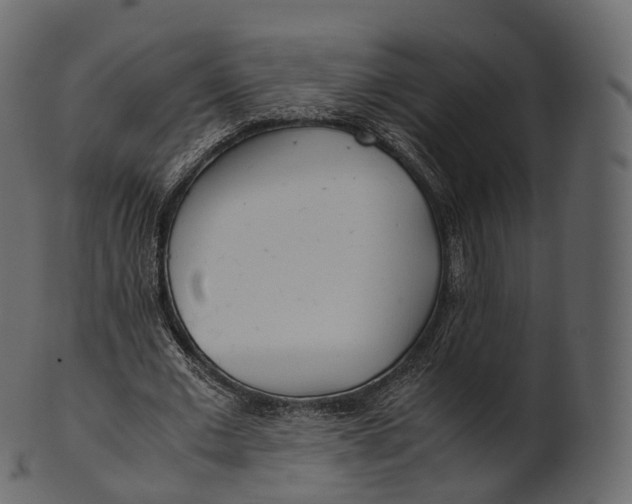 X0000100490677200807031917