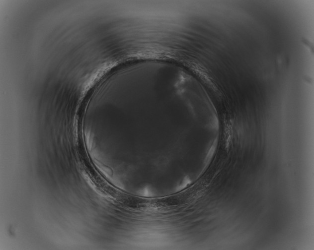 X0000100490678200807031917