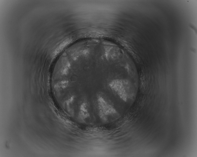 X0000100490679200807031917