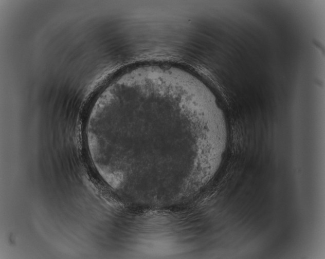 X0000100490680200807031917