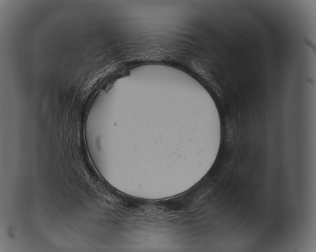 X0000100490681200807031917