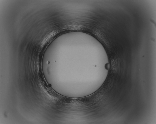 X0000100490682200807031917